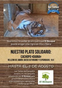 cachopo solidario zoologico