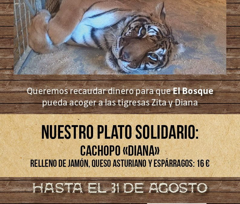 Ayudamos al Bosque Zoológico con nuestro cachopo solidario